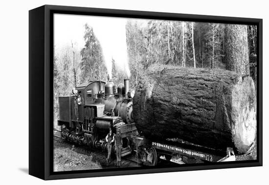 The Desecrated Fir-Clark Kinsey-Framed Stretched Canvas