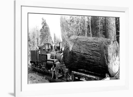 The Desecrated Fir-Clark Kinsey-Framed Premium Giclee Print