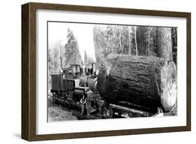 The Desecrated Fir-Clark Kinsey-Framed Art Print