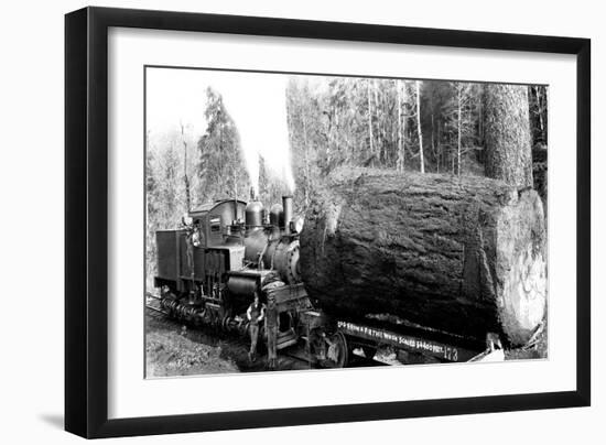 The Desecrated Fir-Clark Kinsey-Framed Art Print