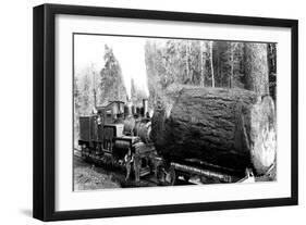 The Desecrated Fir-Clark Kinsey-Framed Art Print