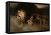 The Desert, 1849-Edwin Landseer-Framed Stretched Canvas