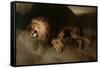 The Desert, 1849-Edwin Landseer-Framed Stretched Canvas