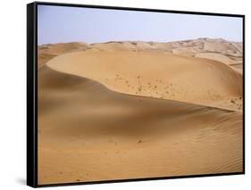 The desert near al-'Ain - the knife blade edges of the dune crests are formed by the wind-Werner Forman-Framed Stretched Canvas