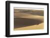 The Desert Near Liwa, Abu Dhabi, United Arab Emirates, Middle East-Angelo Cavalli-Framed Photographic Print