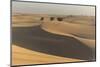 The Desert Near Liwa, Abu Dhabi, United Arab Emirates, Middle East-Angelo Cavalli-Mounted Photographic Print