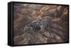 The Desert near the Dead Sea.-Stefano Amantini-Framed Stretched Canvas