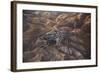 The Desert near the Dead Sea.-Stefano Amantini-Framed Photographic Print