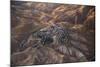 The Desert near the Dead Sea.-Stefano Amantini-Mounted Photographic Print