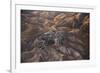 The Desert near the Dead Sea.-Stefano Amantini-Framed Photographic Print