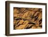 The Desert near the Dead Sea.-Stefano Amantini-Framed Photographic Print