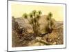 The Desert of Sinai, Egypt, C1870-W Dickens-Mounted Giclee Print