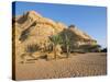 The Desert, Wadi Rum, Jordan, Middle East-Alison Wright-Stretched Canvas