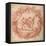 The Design of the Tazza Farnese-Peter Paul Rubens-Framed Stretched Canvas