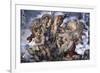 The, Detail Last Judgement-Michelangelo Buonarroti-Framed Giclee Print