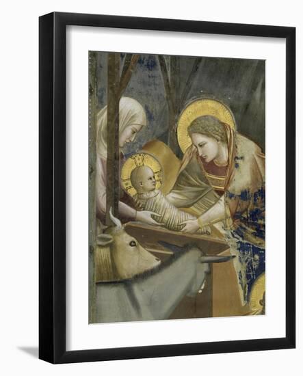 The, Detail Nativity-Giotto di Bondone-Framed Giclee Print