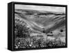 The Devil's Dyke-Fred Musto-Framed Stretched Canvas