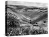 The Devil's Dyke-Fred Musto-Stretched Canvas