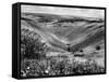 The Devil's Dyke-Fred Musto-Framed Stretched Canvas