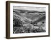 The Devil's Dyke-Fred Musto-Framed Photographic Print