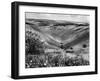 The Devil's Dyke-Fred Musto-Framed Photographic Print