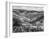 The Devil's Dyke-Fred Musto-Framed Photographic Print