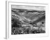 The Devil's Dyke-Fred Musto-Framed Photographic Print