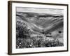 The Devil's Dyke-Fred Musto-Framed Photographic Print