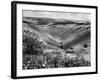 The Devil's Dyke-Fred Musto-Framed Photographic Print