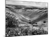 The Devil's Dyke-Fred Musto-Mounted Photographic Print