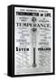 The Diamond Jubilee Thermometer of Life, Printed by M. M. Whelan and Company, 1897-null-Framed Stretched Canvas
