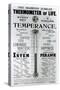 The Diamond Jubilee Thermometer of Life, Printed by M. M. Whelan and Company, 1897-null-Stretched Canvas