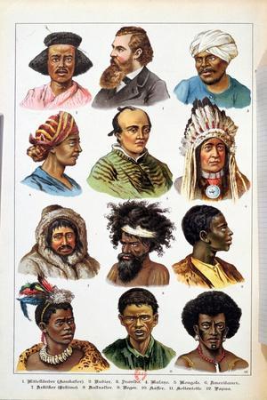 the different human races