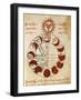 The Different Phases of Sun-null-Framed Giclee Print