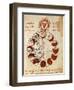 The Different Phases of Sun-null-Framed Giclee Print