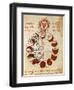 The Different Phases of Sun-null-Framed Giclee Print