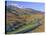 The Dinas Mawddwy to Dolgellau Road, Snowdonia National Park, Gwynedd, Wales, UK, Europe-Duncan Maxwell-Stretched Canvas