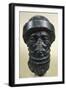 The Diorite Head of Hammurabi, Artefact from Susa or Shush, Iran-null-Framed Giclee Print