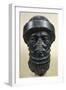 The Diorite Head of Hammurabi, Artefact from Susa or Shush, Iran-null-Framed Giclee Print