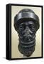 The Diorite Head of Hammurabi, Artefact from Susa or Shush, Iran-null-Framed Stretched Canvas