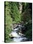 The Diosaz Gorge, Servoz Near Chamonix, Haute-Savoie, Rhone Alps, France-Ruth Tomlinson-Stretched Canvas