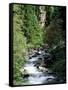 The Diosaz Gorge, Servoz Near Chamonix, Haute-Savoie, Rhone Alps, France-Ruth Tomlinson-Framed Stretched Canvas