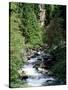 The Diosaz Gorge, Servoz Near Chamonix, Haute-Savoie, Rhone Alps, France-Ruth Tomlinson-Stretched Canvas