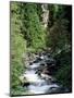 The Diosaz Gorge, Servoz Near Chamonix, Haute-Savoie, Rhone Alps, France-Ruth Tomlinson-Mounted Premium Photographic Print