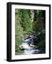 The Diosaz Gorge, Servoz Near Chamonix, Haute-Savoie, Rhone Alps, France-Ruth Tomlinson-Framed Photographic Print