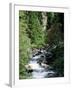 The Diosaz Gorge, Servoz Near Chamonix, Haute-Savoie, Rhone Alps, France-Ruth Tomlinson-Framed Photographic Print