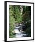 The Diosaz Gorge, Servoz Near Chamonix, Haute-Savoie, Rhone Alps, France-Ruth Tomlinson-Framed Photographic Print