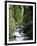 The Diosaz Gorge, Servoz Near Chamonix, Haute-Savoie, Rhone Alps, France-Ruth Tomlinson-Framed Photographic Print