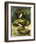 The Dipper, Also Known as the Water Ousel-David Pratt-Framed Giclee Print