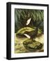 The Dipper, Also Known as the Water Ousel-David Pratt-Framed Giclee Print